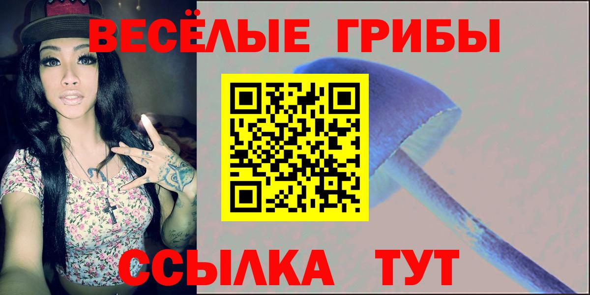 Галлюциногенные грибы Cubensis Димитровград