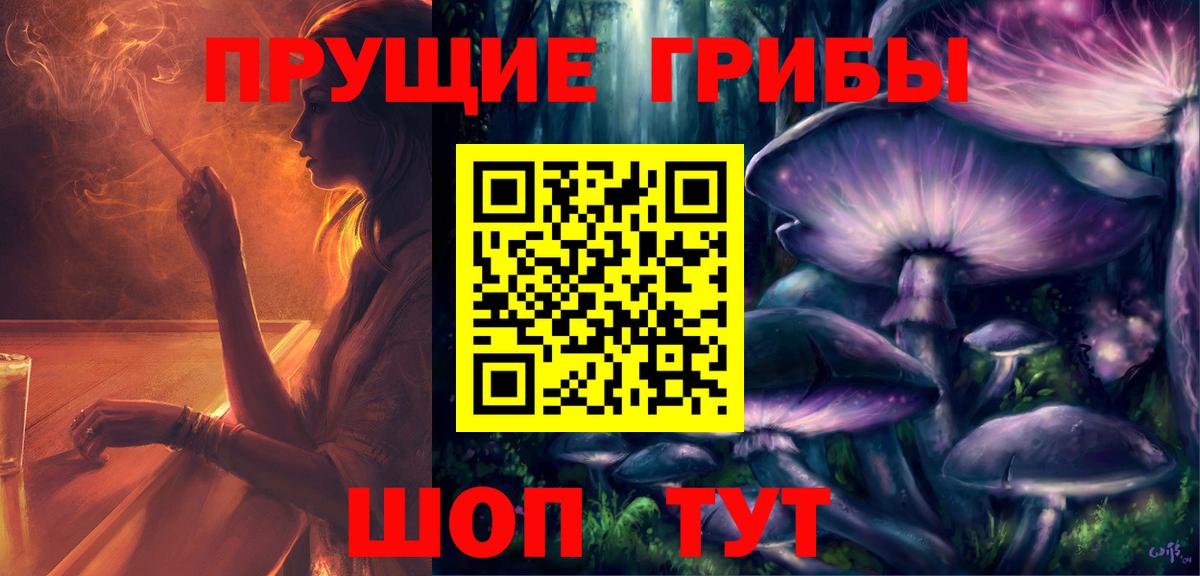 Галлюциногенные грибы Psilocybine cubensis  Вход с VPN  Димитровград 